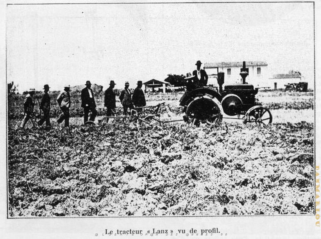 Relizane 016.jpg